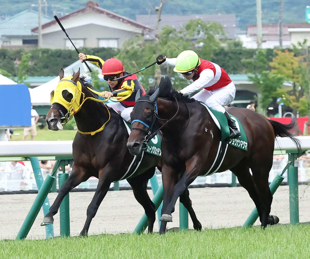 ラジオNIKKEI賞を制したフェーングロッテン（左）。右は2着のショウナンマグマ（撮影・丹羽敏通）