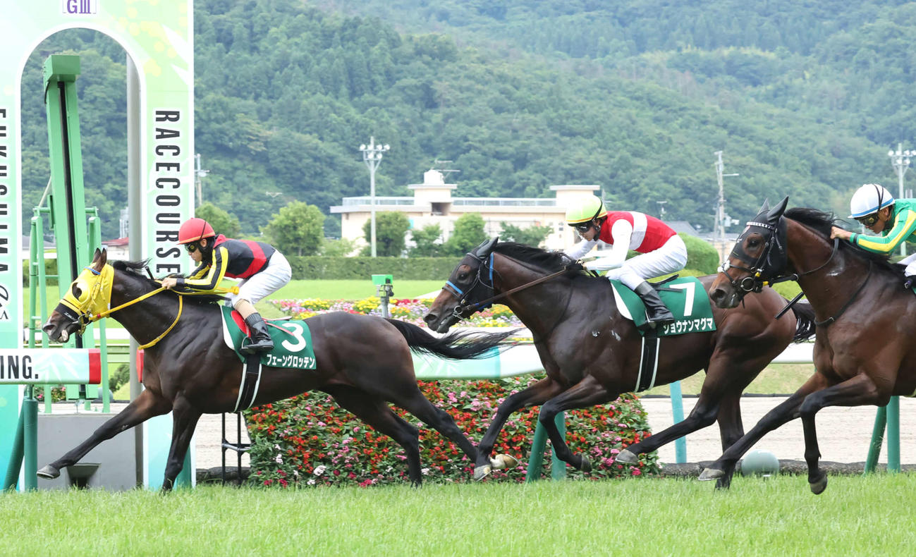 ラジオNIKKEI賞2着のショウナンマグマ（中央）。左は勝ったフェーングロッテン（撮影・丹羽敏通）