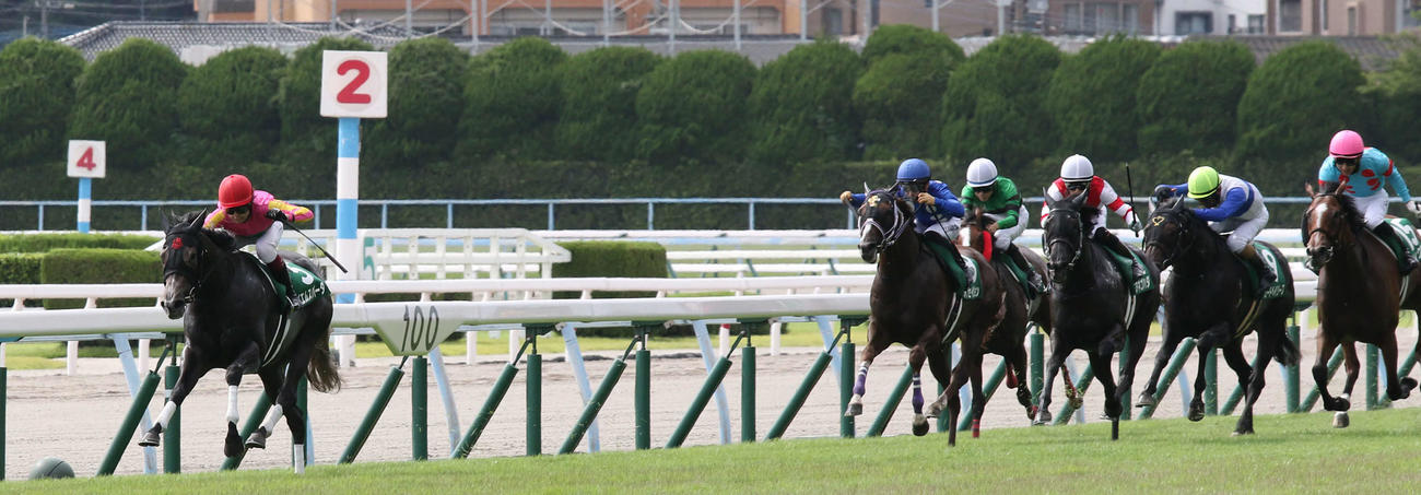 余裕の逃げをみせたテイエムスパーダ（撮影・渦原淳）
