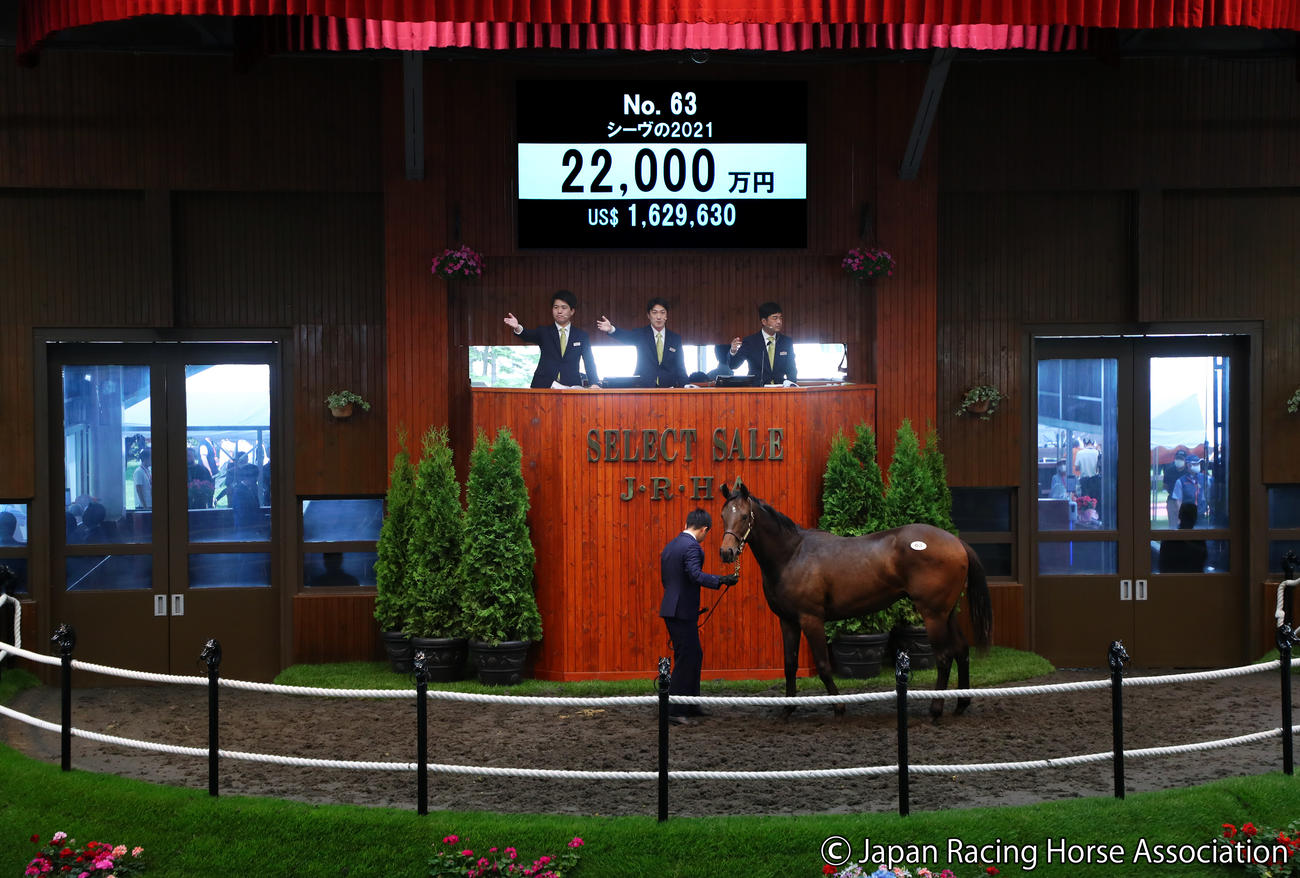 2億1000万円で落札されたシーヴの2021