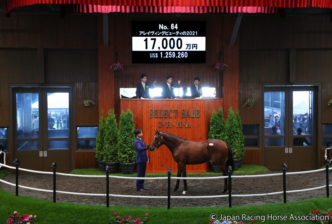 1億7000万円で落札されたアレイヴィングビューティの2021