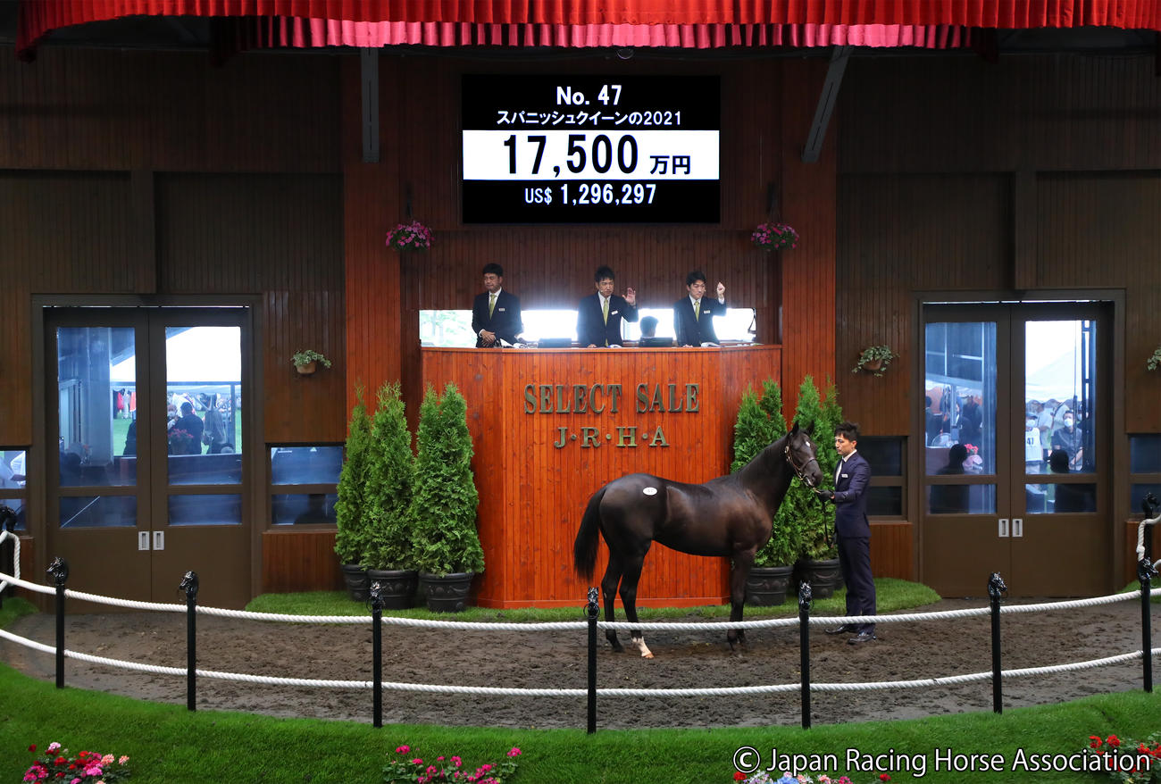 1億7500万円で落札されたスパニッシュクイーンの2021