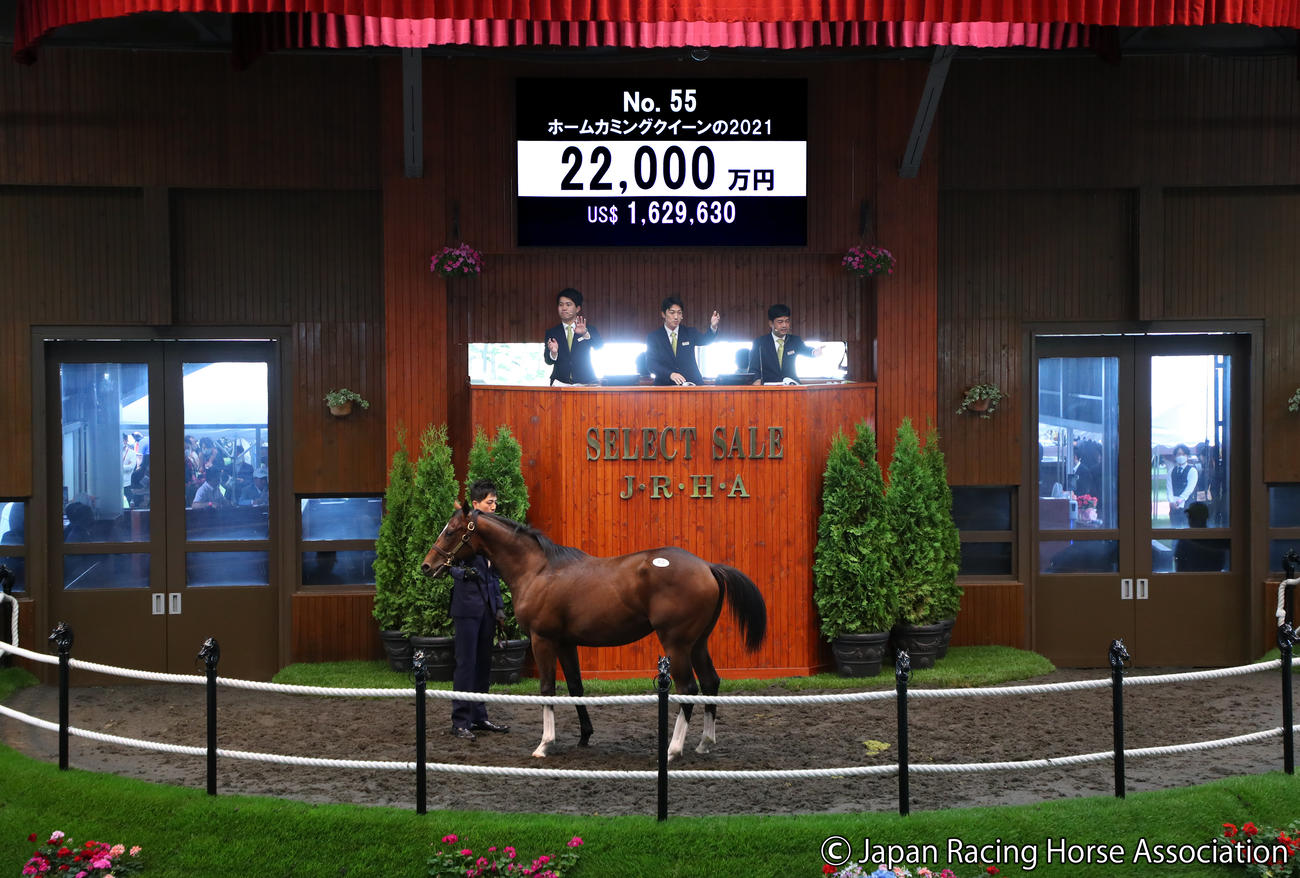 2億2000万円で落札されたホームカミングクイーンの2021