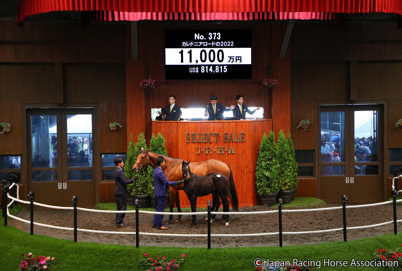 1億1000万円で落札されたカレドニアロードの2022