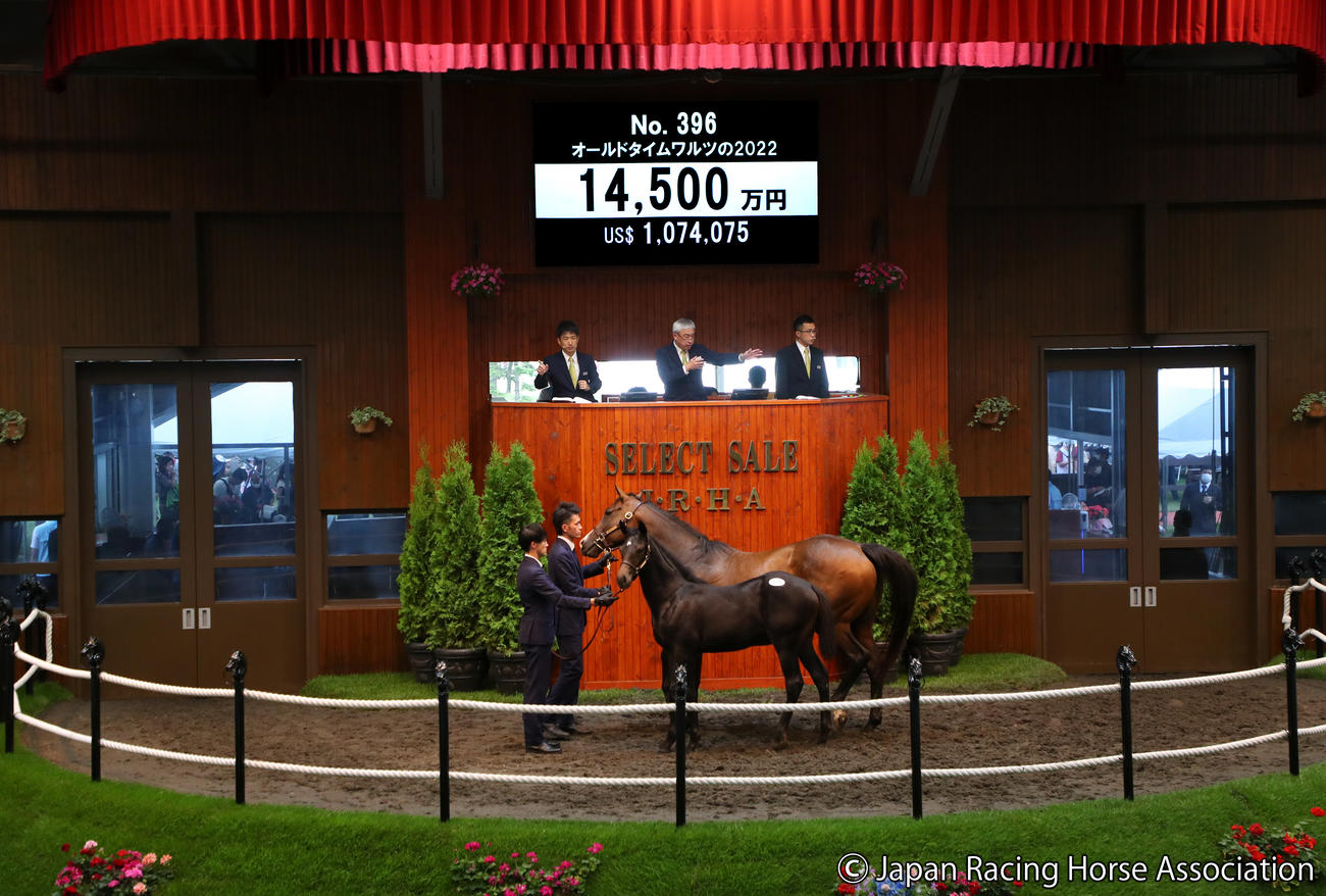 1億4500万円で落札されたオールドタイムワルツの2022