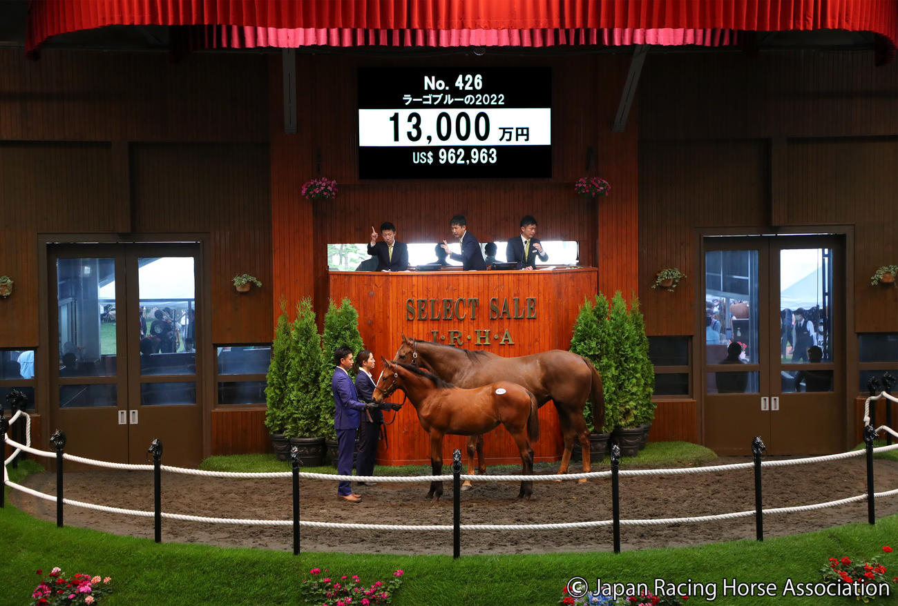 1億3000万円で落札されたラーゴブルーの2022