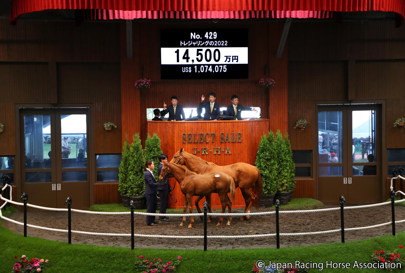1億4500万円で落札されたトレジャリングの2022