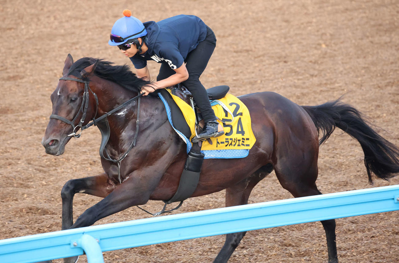 トーラスジェミニは原騎手を背に美浦ウッドを単走で追い切られた（2022年6月29日撮影）
