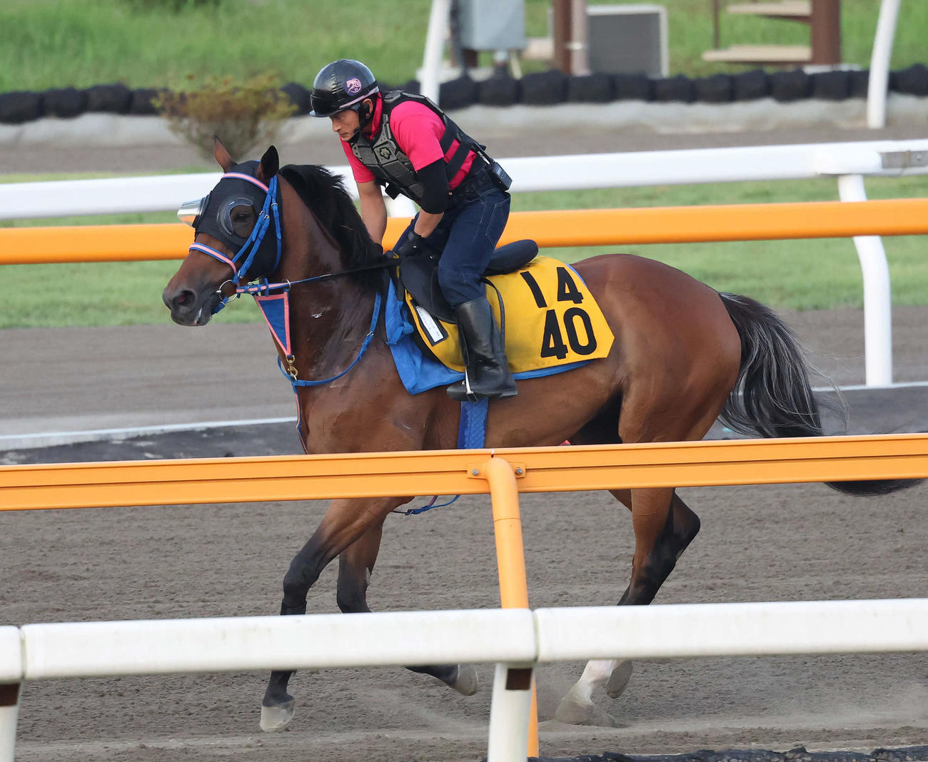 6月29日、ダートコースで運動するヒュミドール