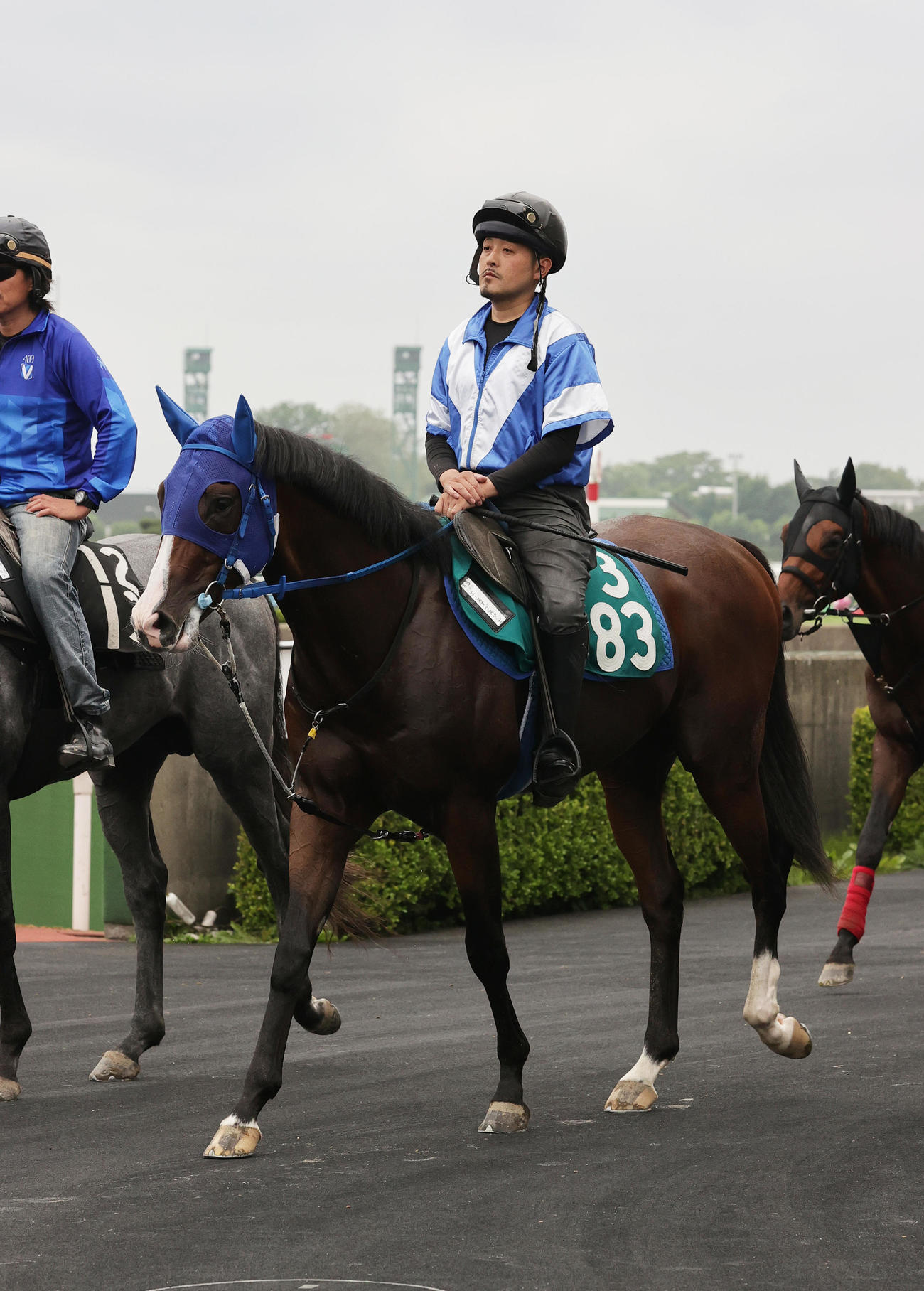 函館競馬場で調整を積むエースオブスペーズ