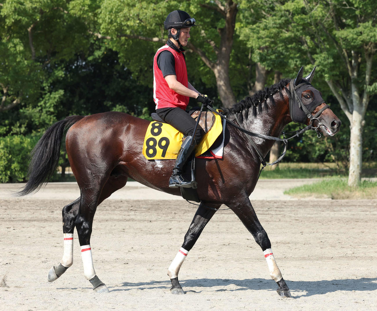 調教を終えて馬場を出るシークレットラン（2022年6月30日撮影）