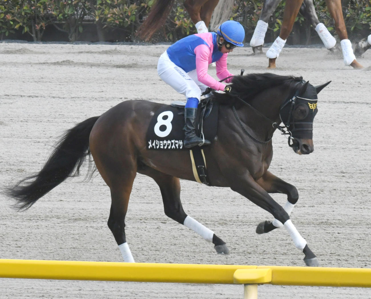 アハルテケS3着に敗れたメイショウウズマサ（2022年6月4日撮影）