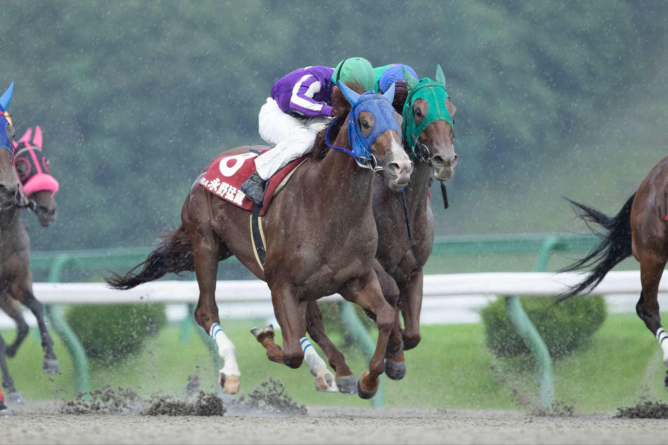 第1戦をブラントンで制したJRAの永野猛蔵騎手（NAR提供）