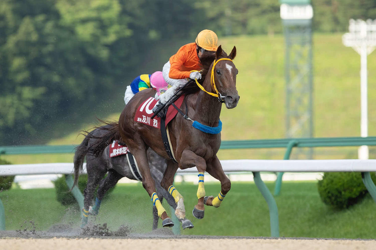 第2戦をラブリボーンで制した浦和の及川烈騎手（NAR提供）