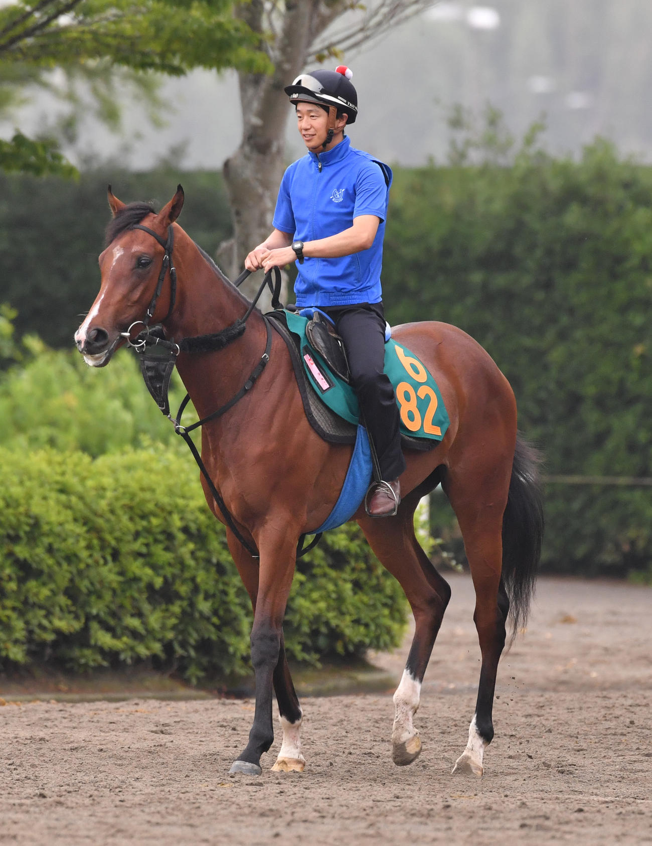 美浦で調教されるアップトゥミー（6月22日撮影）