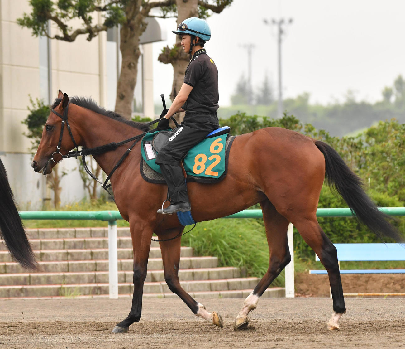 アップトゥミーと菅原明良騎手（6月22日撮影）