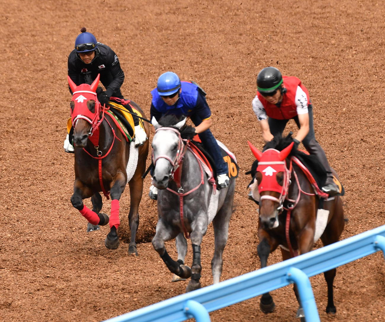 松岡騎手を背にエヴァーガーデン（左）はアルテラ（中央）、スズノテレサと併せ追い切る（撮影・柴田隆二）