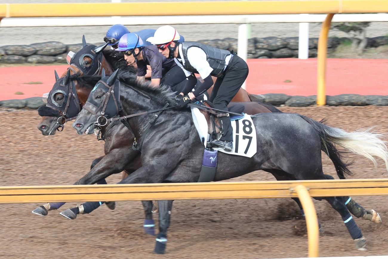 横山典騎手が乗り、3頭併せで追い切られたサンライズウルス（中）