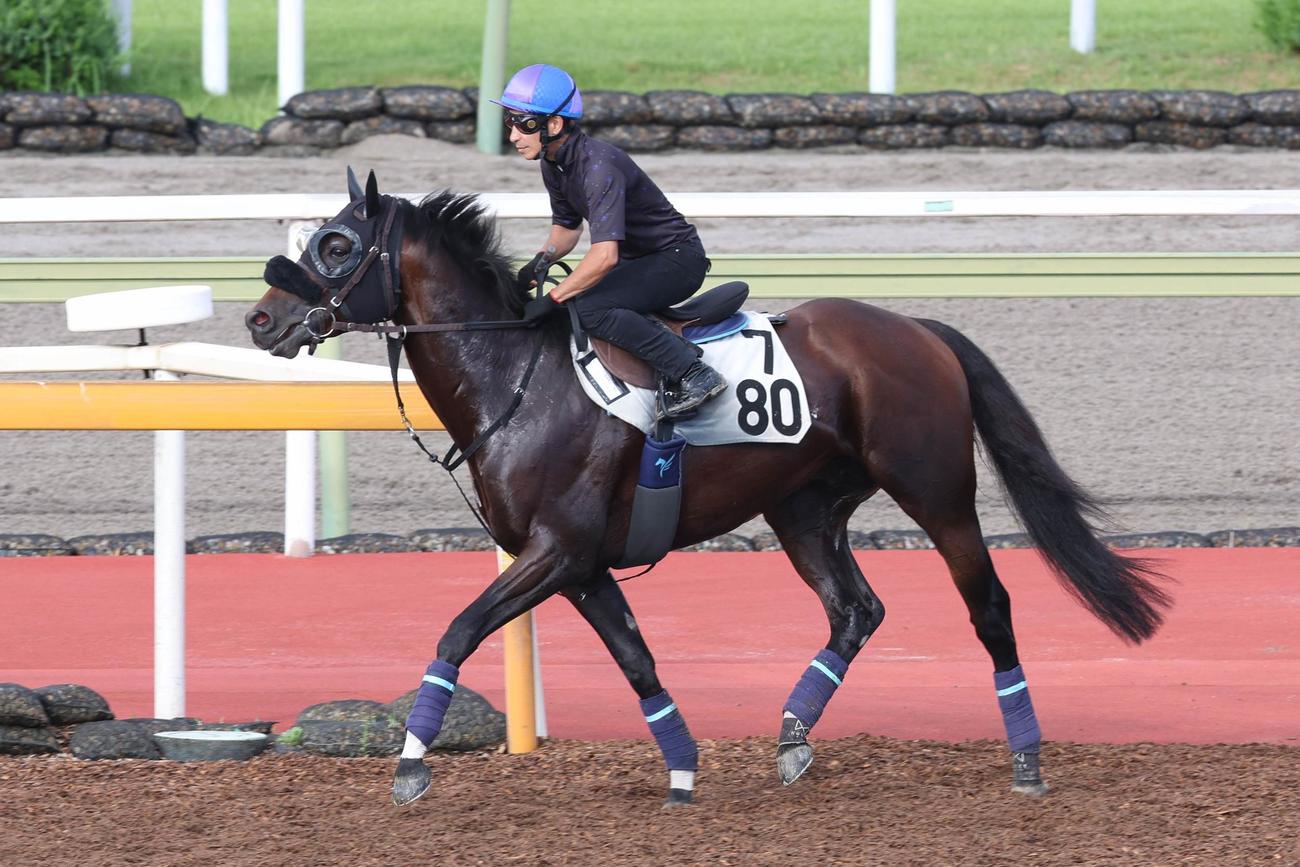 横山典騎手が騎乗したサンライズウルス