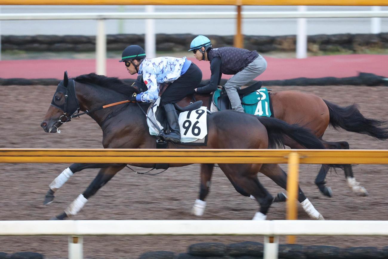 併せ馬に先着するメイショウウズマサ（左）