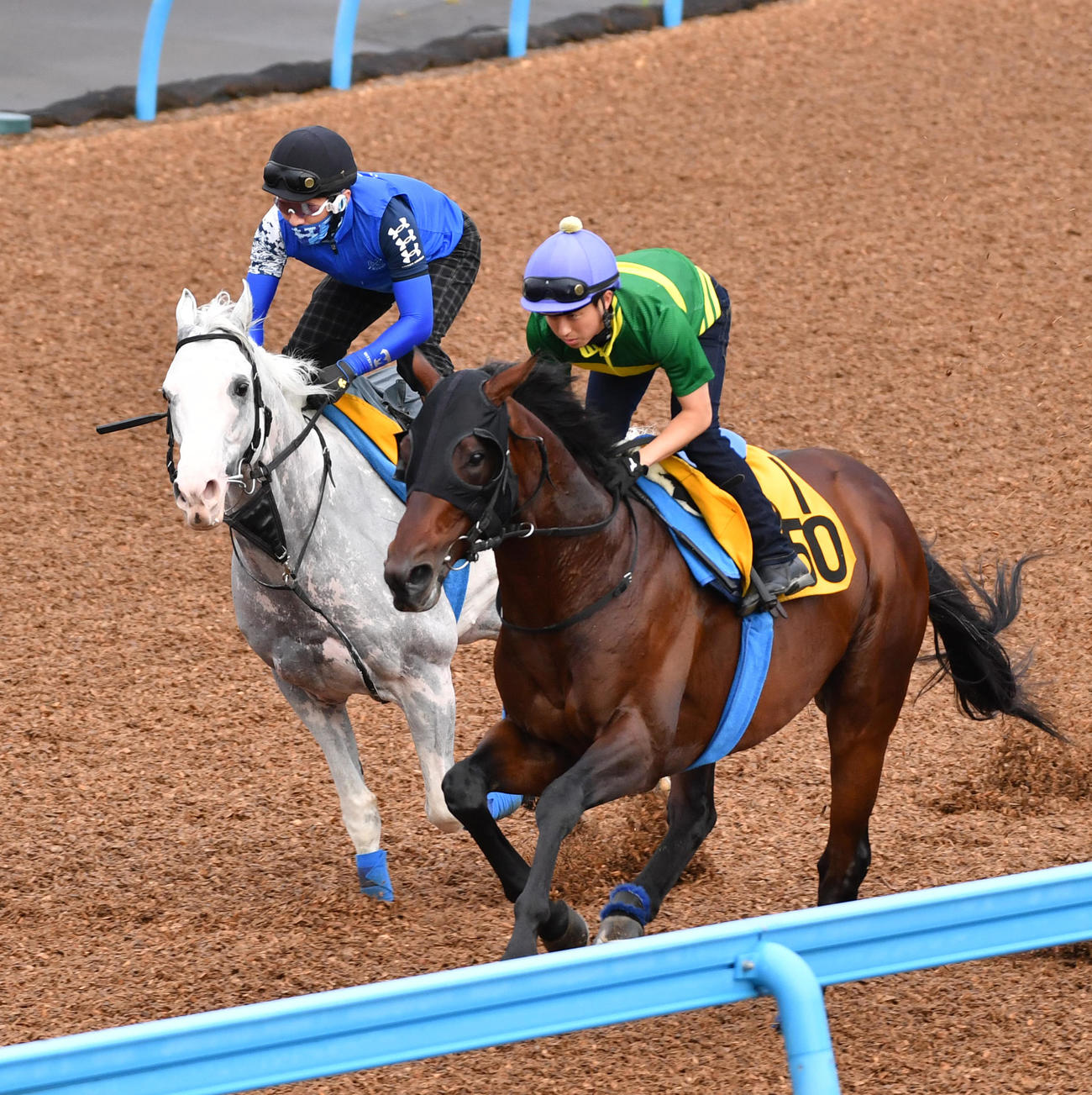 アンティシペイト（右）はハヤヤッコと併せて追い切る（撮影・柴田隆二）