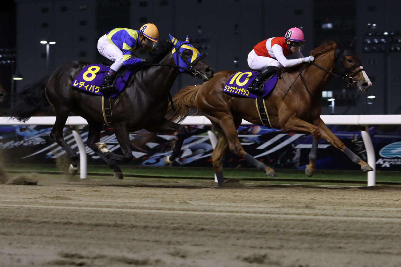 2番手から抜け出しスパーキングLCを制したショウナンナデシコと吉田隼人騎手（右）