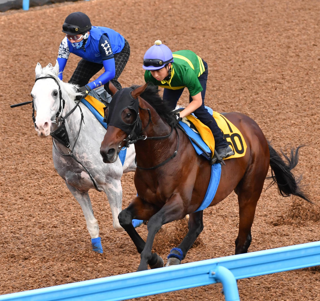 武藤騎手アンティシペイト（右）はハヤヤッコと追い切る（撮影・柴田隆二）