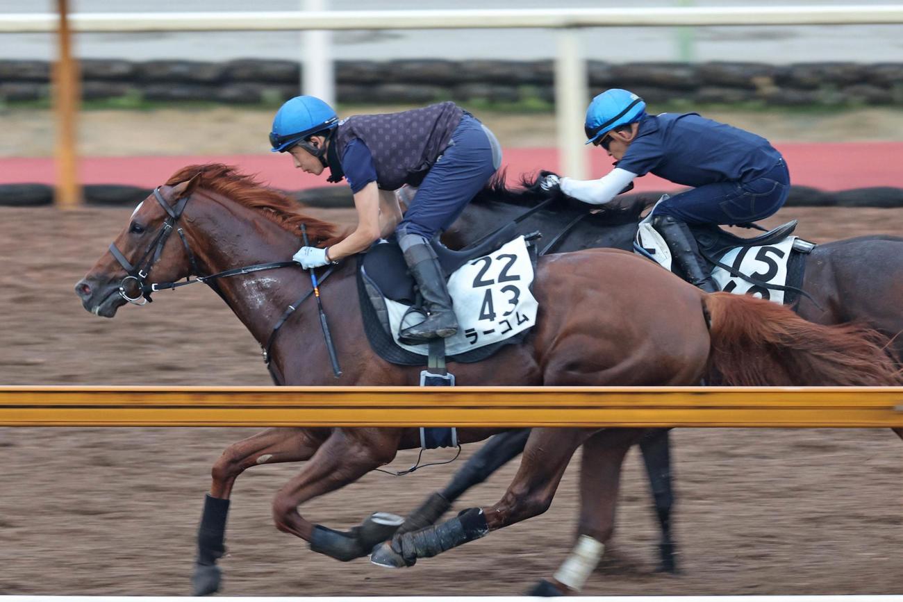 併走馬に先行先着したラーゴム