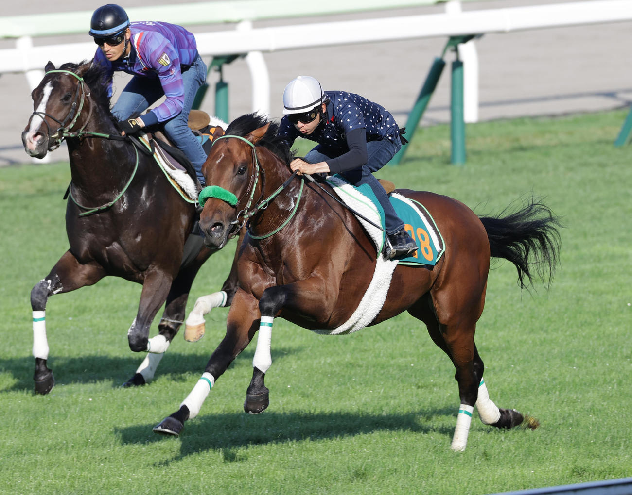 横山和生騎手を背に、函館芝コースを併せ馬で追い切られたブラストウエーブ（手前）