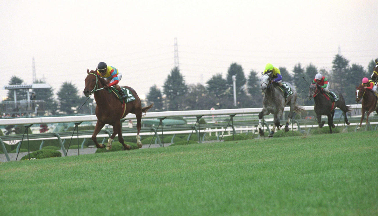 アグネスタキオン（左）は00年のラジオたんぱ杯で強豪をねじ伏せて圧勝した（2000年12月23日撮影）