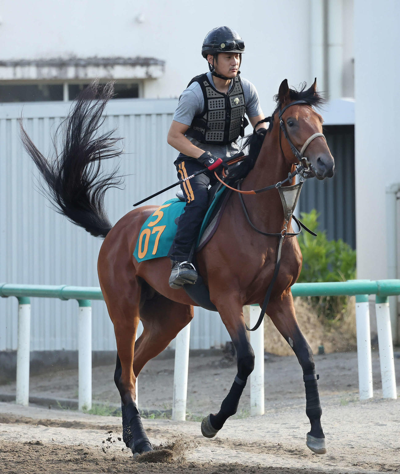 厩舎周りで乗り運動するサイブレーカー（6月29日撮影）