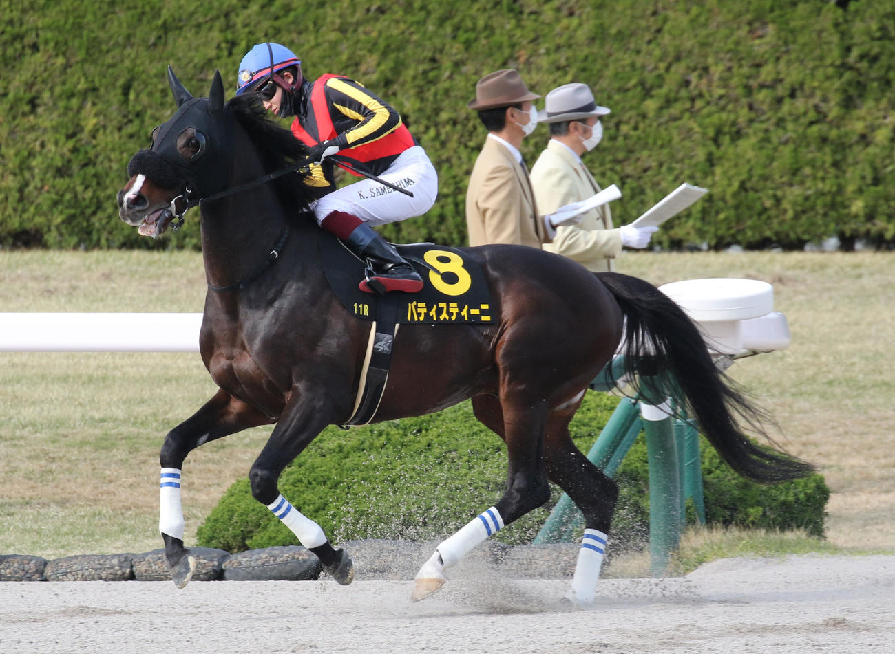 4月2日、コーラルSに出走したバティスティーニ