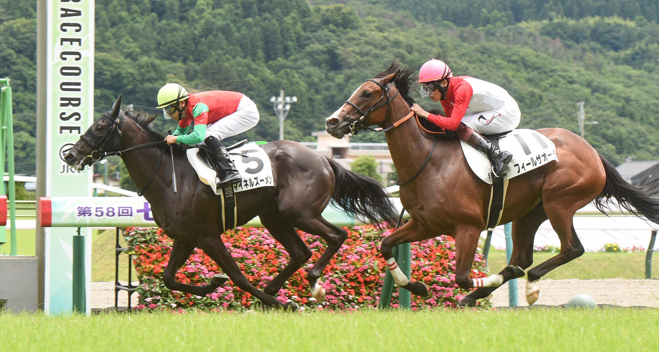 福島5R、新馬戦を制したマイネルズーメン（左）、2着フィールザオーラ（撮影・柴田隆二）