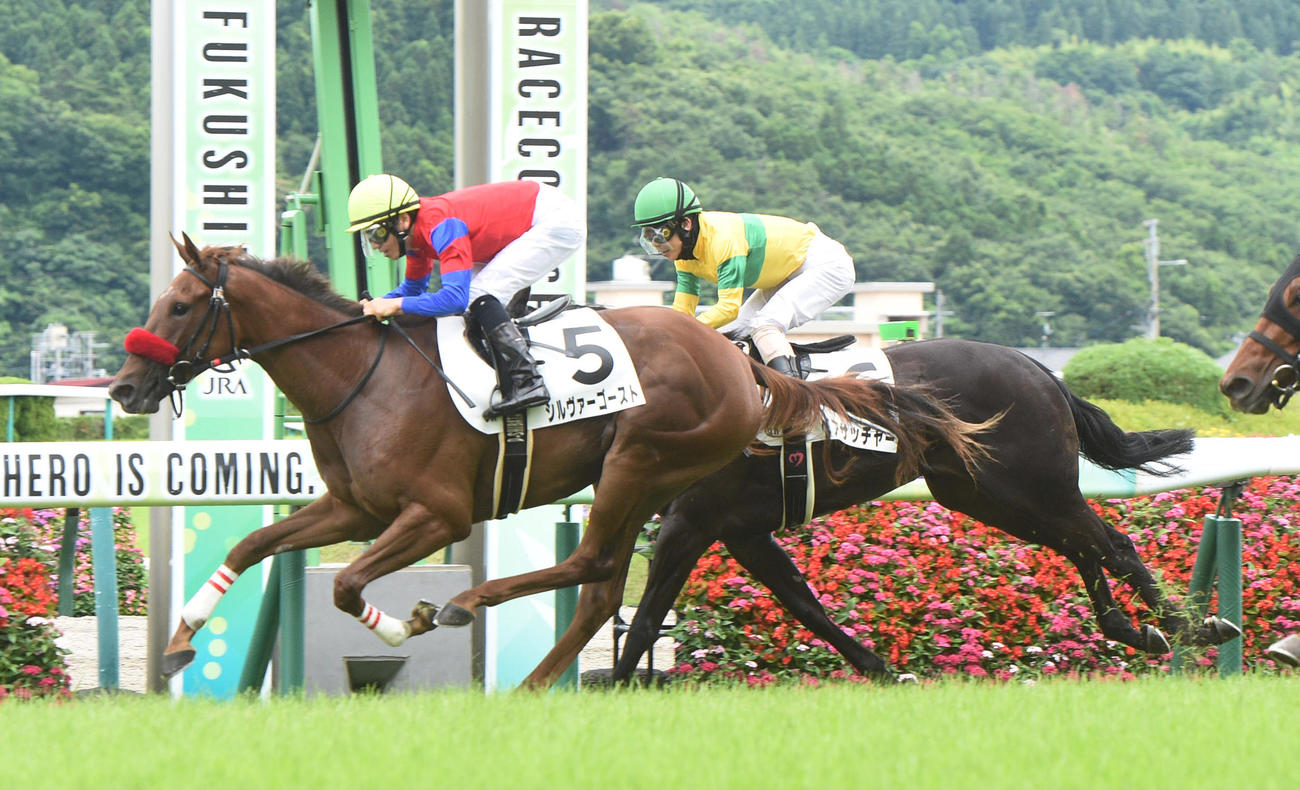 福島6R新馬戦を制したシルヴァーゴースト（左）（撮影・柴田隆二）