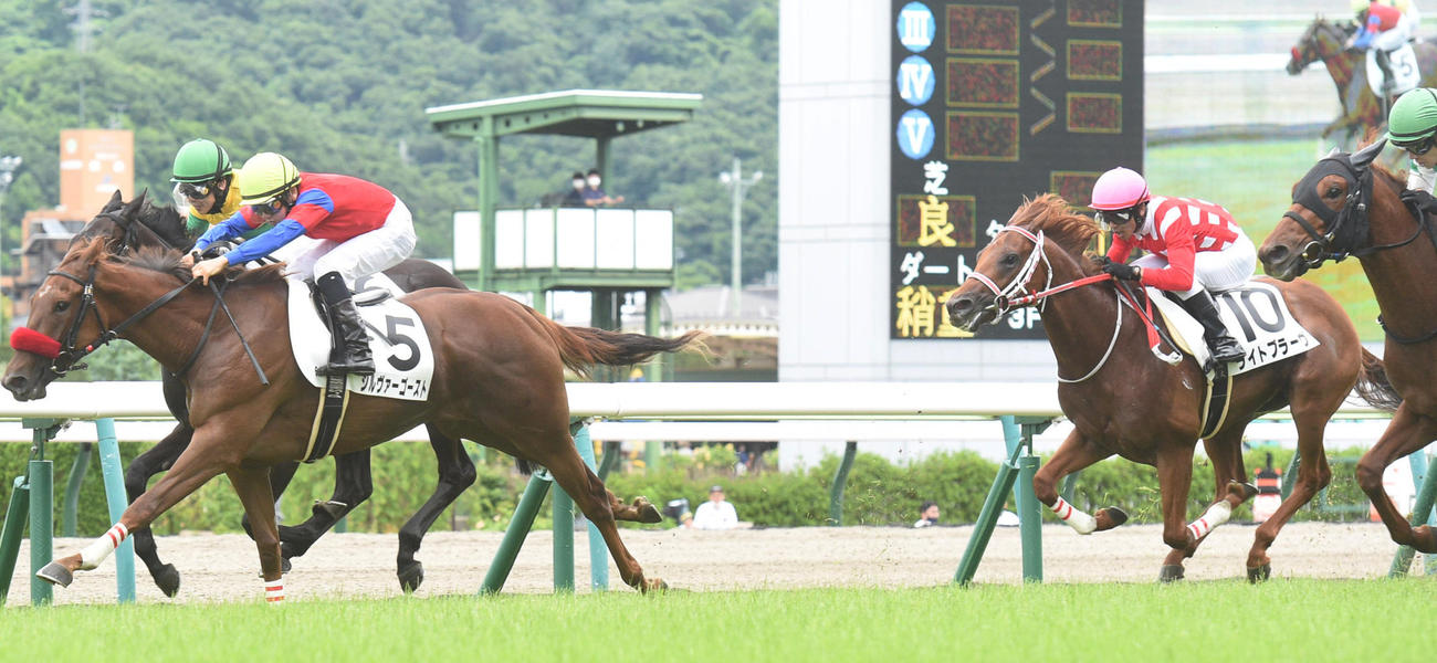 デビュー戦4着のライトブラーヴ（右）（撮影・柴田隆二）