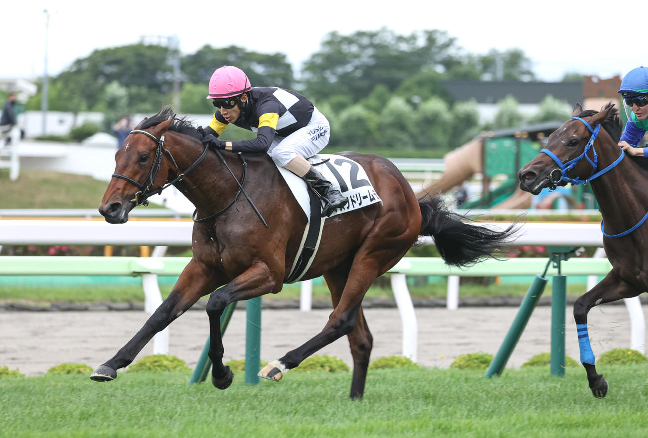 デビュー戦を制したアスクドリームモア（撮影・村野早祐）
