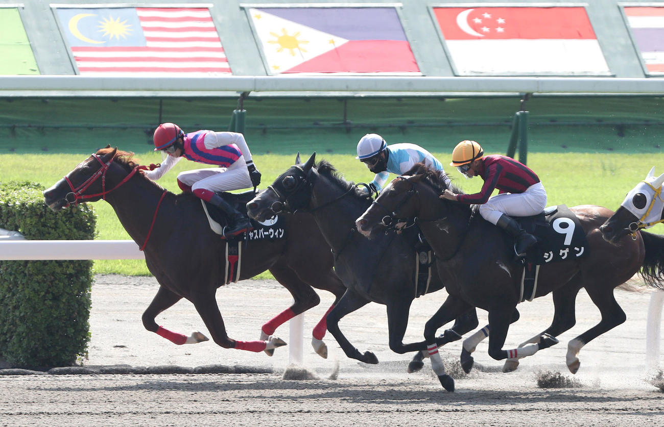 逃げ切ってマレーシアCを制したジャスパーウィン（左）（撮影・白石智彦）