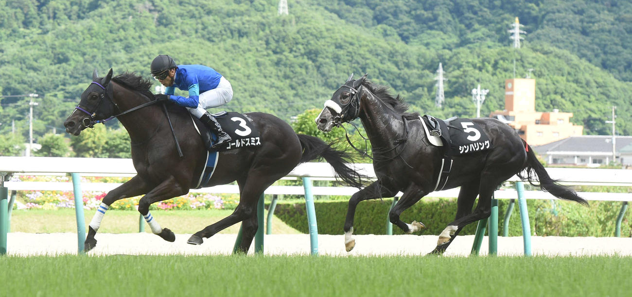 11R、阿武隈Sを制したゴールドスミス（左）、落馬したシンハリング（撮影・柴田隆二）