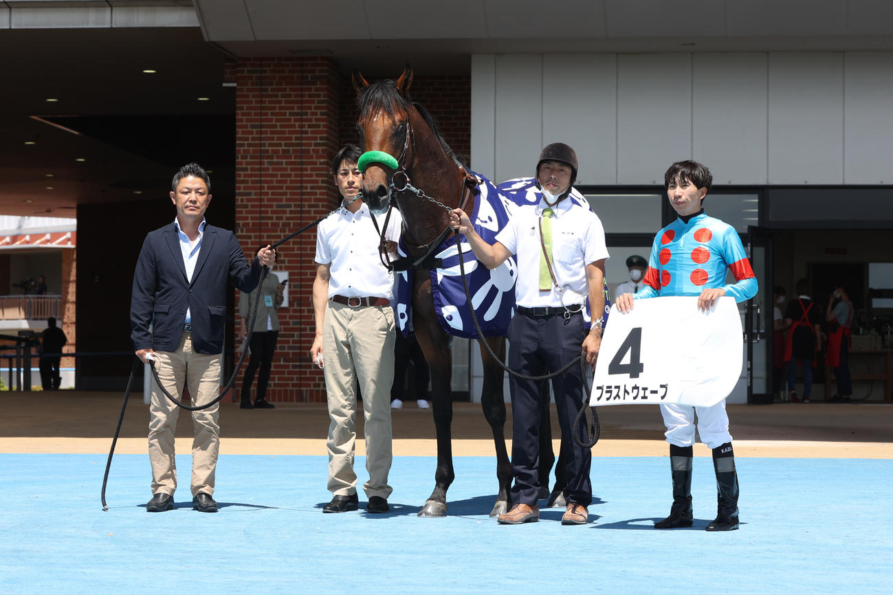 デビュー戦を制したブラストウェーブ（撮影・村野早祐）