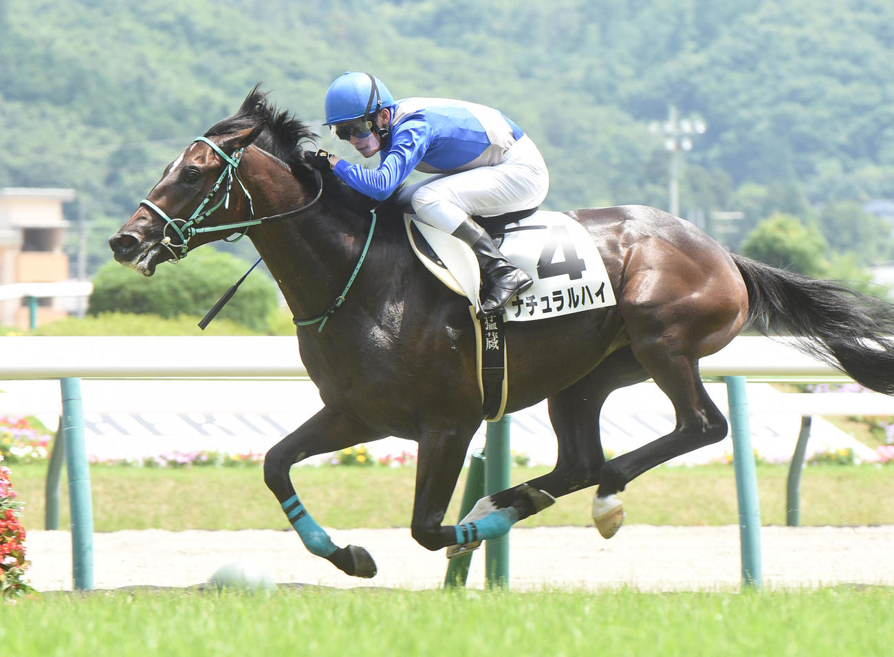 5R、新馬戦を制したナチユラルハイと永野騎手（撮影・柴田隆二）