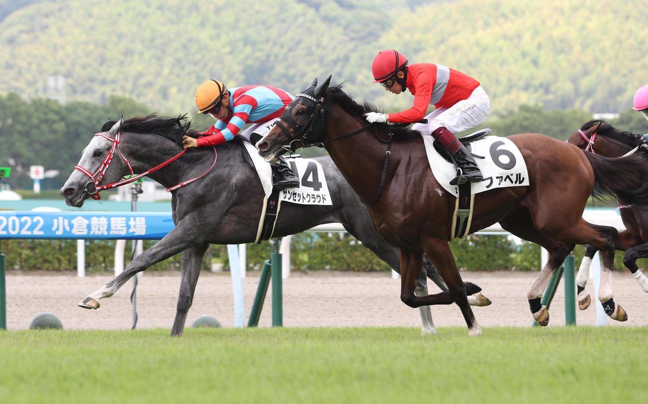 直線抜け出して3歳未勝利を勝ち上がったコントレイルの全弟のサンセットクラウド（左）（撮影・白石智彦）