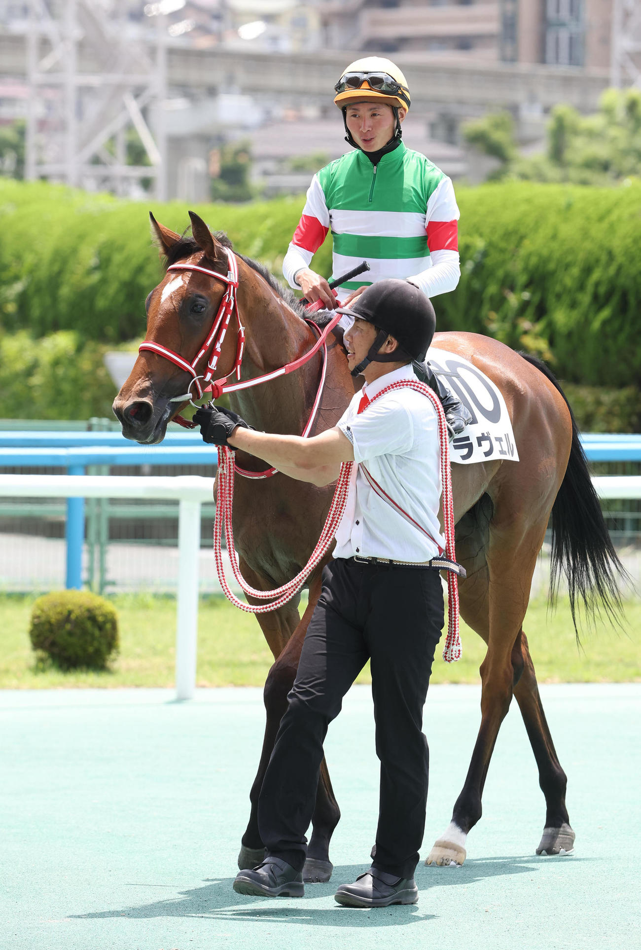 新馬戦を勝って引き上げるラヴェル（撮影・白石智彦）