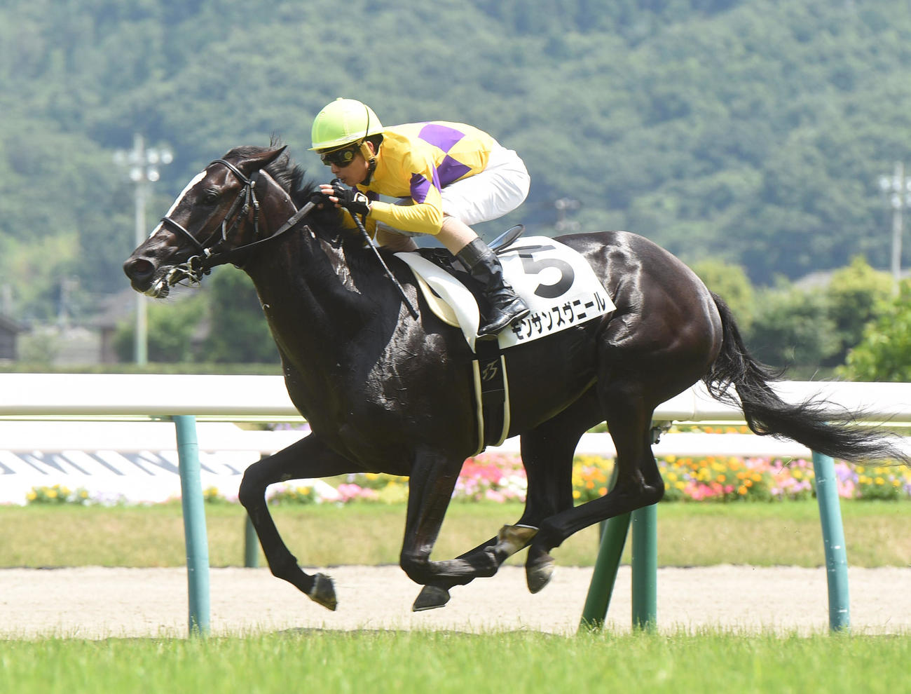 福島6R、新馬戦を制したモンサンスヴニールと木幡巧騎手（撮影・柴田隆二）