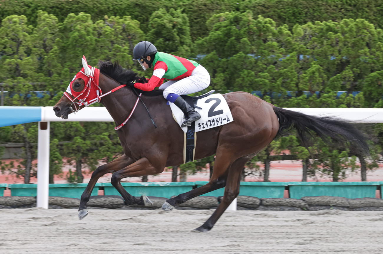 函館12Rをチェイスザドリームで逃げ切った古川奈穂騎手（撮影・村野早祐）