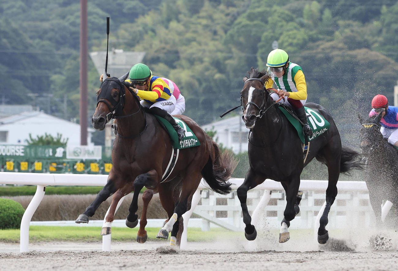 14番人気で2着に食い込んだヒストリーメイカー（右）。左はプロキオンSを制したゲンパチルシファー