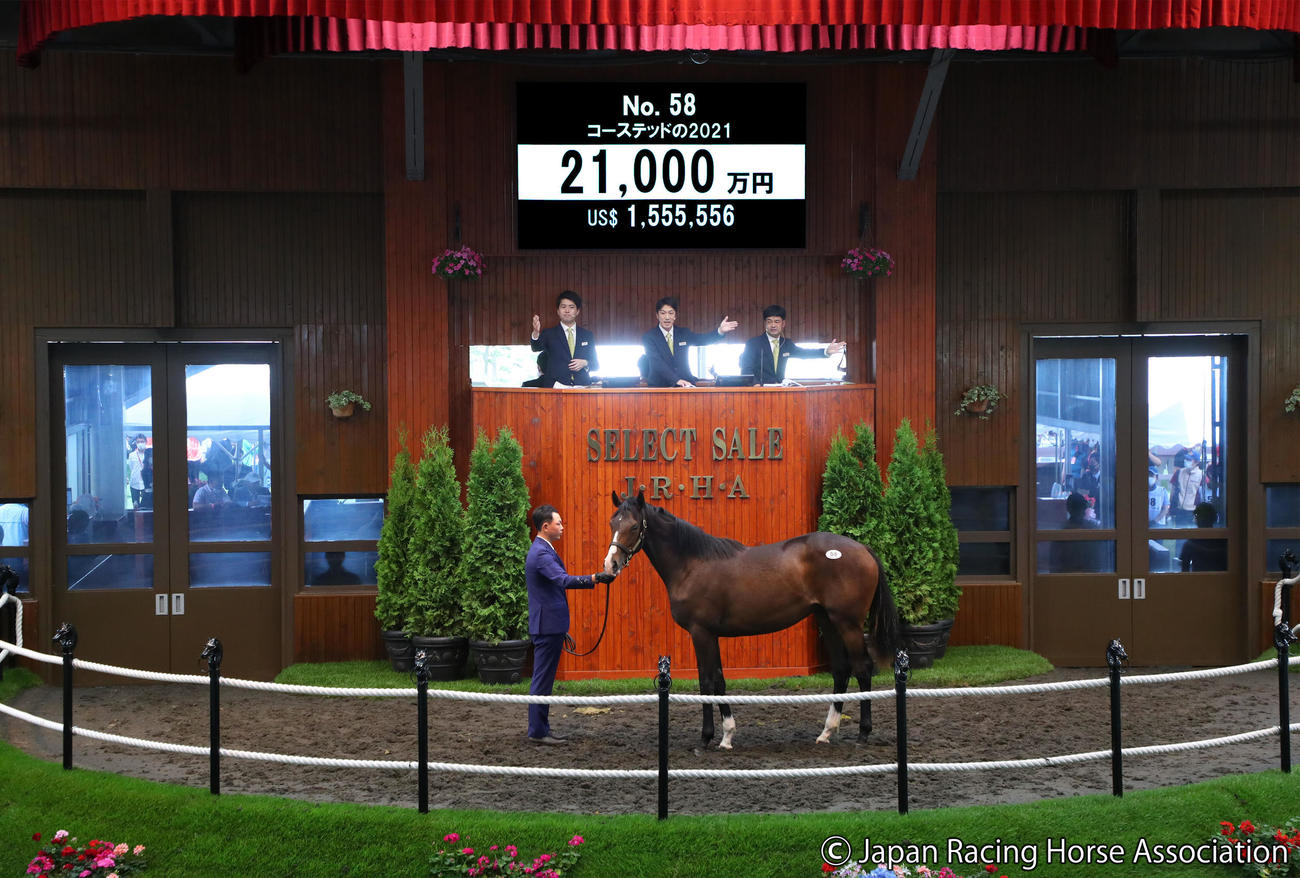 藤田晋オーナーが2億1000万円で落札したコーステッドの2021