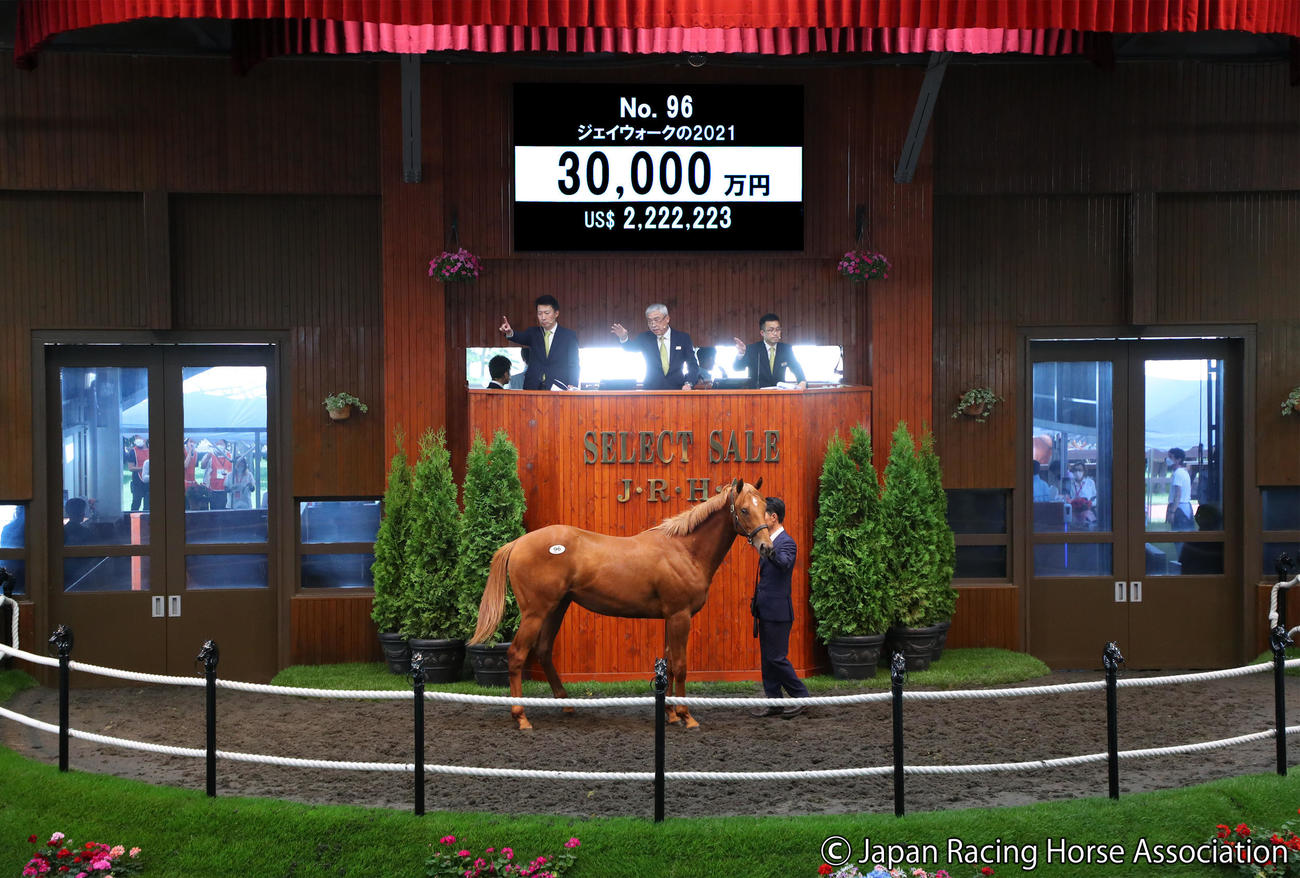 3億円で落札されたジェイウォークの2021