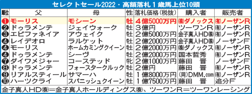 セレクトセール2022・高額落札1歳馬上位10頭