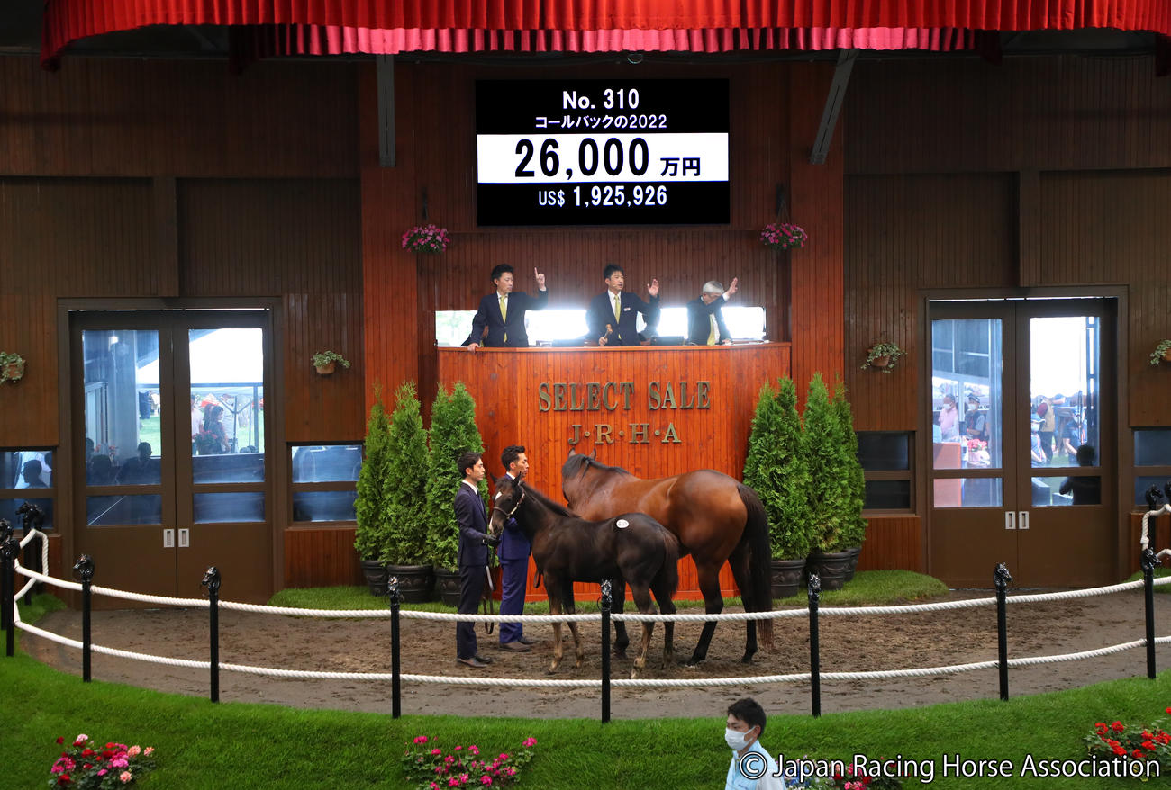 2億6000万円で落札されたコールバックの2022