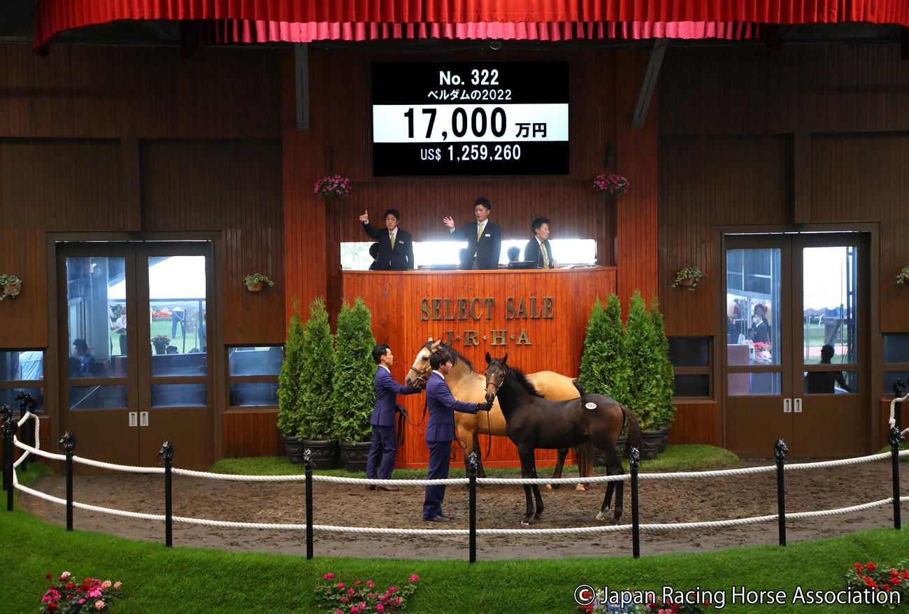 1億7000万円で落札されたベルダムの2022